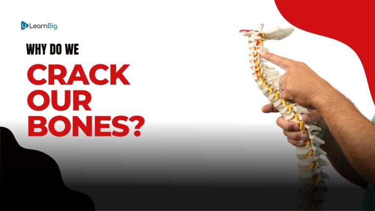 Why Do We Crack Our Bones? Understanding the Science Behind Joint Popping
