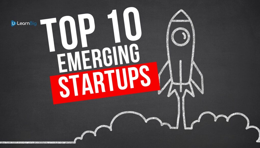 top10 startups2014